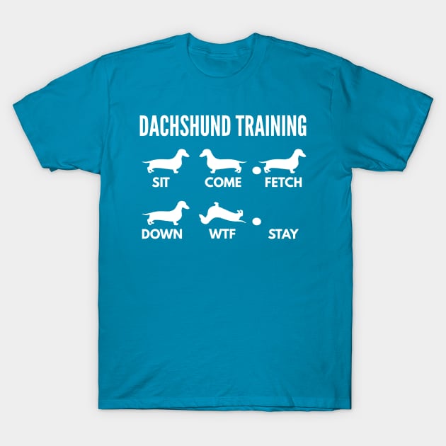 Dachshund Training Dachshund Dog Tricks T-Shirt by DoggyStyles